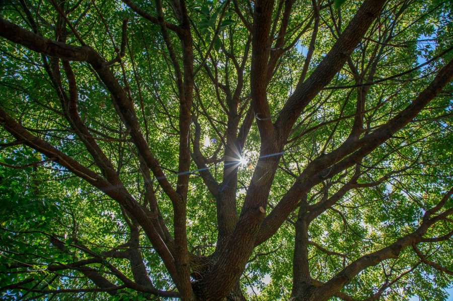 To Let 4 Bedroom Property for Rent in Hunters Home Western Cape